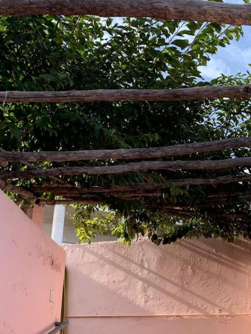 הוילה איקוד דה לוס וינוס Paz Y Relax En Santa Barbara 110 מראה חיצוני תמונה