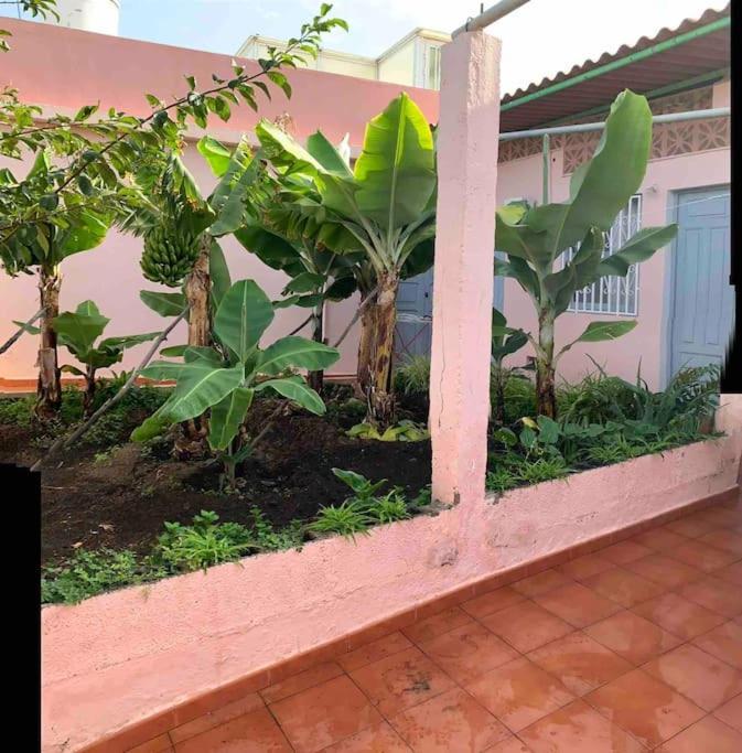 הוילה איקוד דה לוס וינוס Paz Y Relax En Santa Barbara 110 מראה חיצוני תמונה
